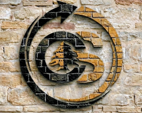 Cedar and Stone Consulting Partners LLC